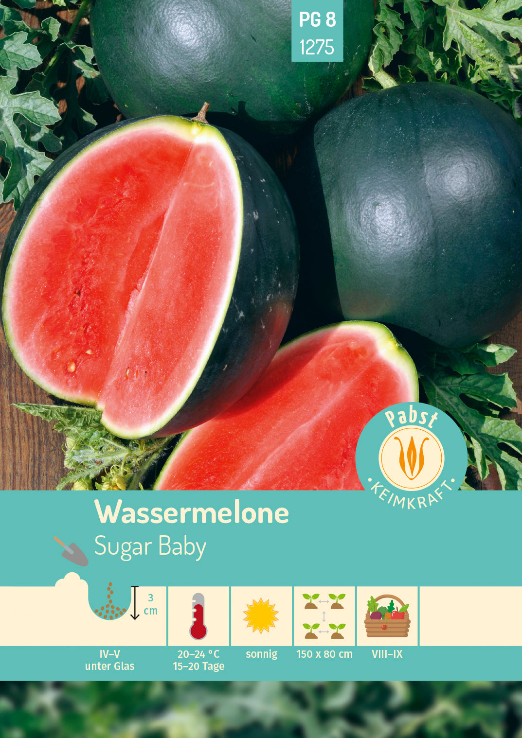 Pabst Keimkraft Wassermelonen Sugar Baby