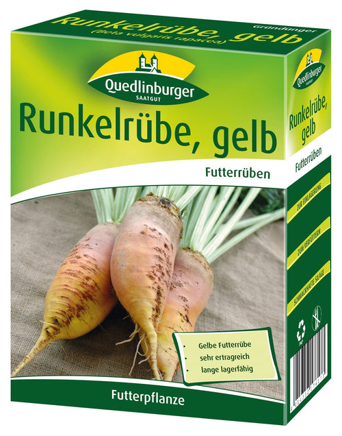 Quedlinburger Futterrübe gelb