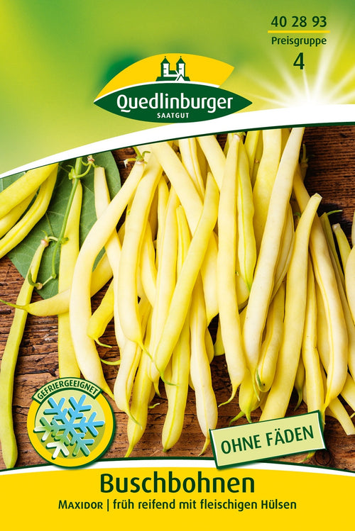 Quedlinburger Buschbohne Maxidor
