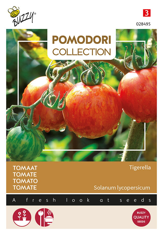 Buzzy Seeds Tomate Tigerella