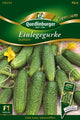 Quedlinburger Freiland-Einlegegurke Diamant