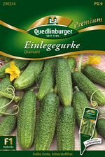 Quedlinburger Freiland-Einlegegurke Diamant