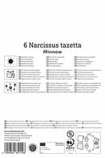 Tazetten-Narzisse Minnow