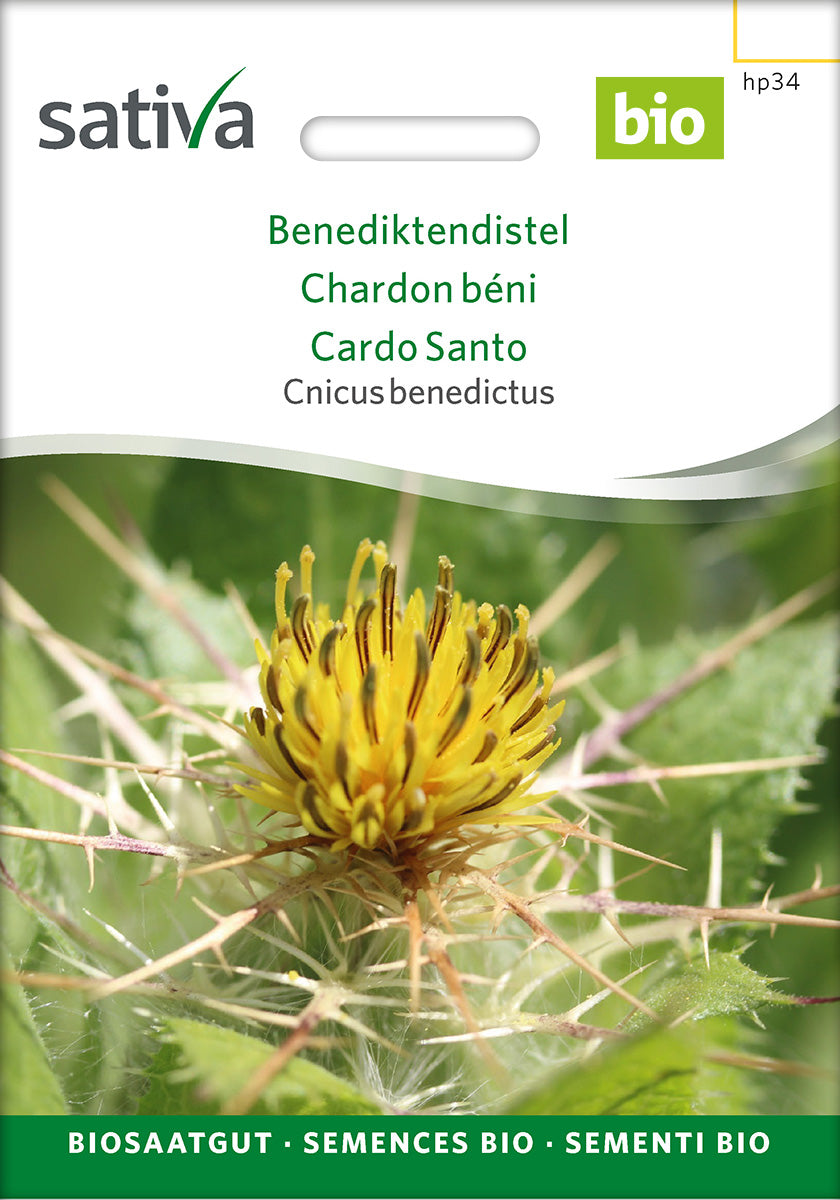 Sativa Cnicus benedictus Benediktendistel