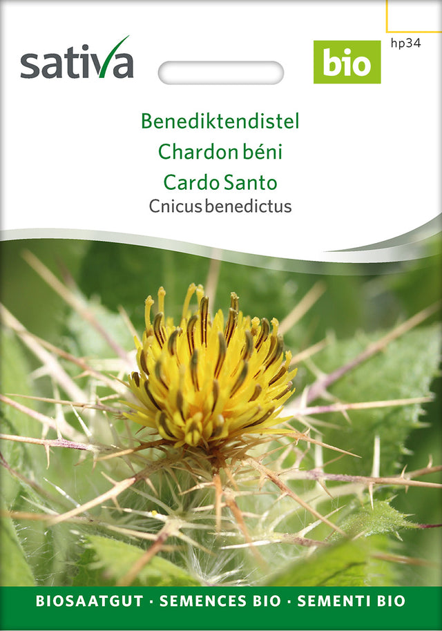 Sativa Cnicus benedictus Benediktendistel