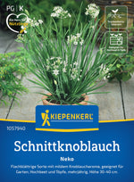Kiepenkerl Schnittknoblauch Neko