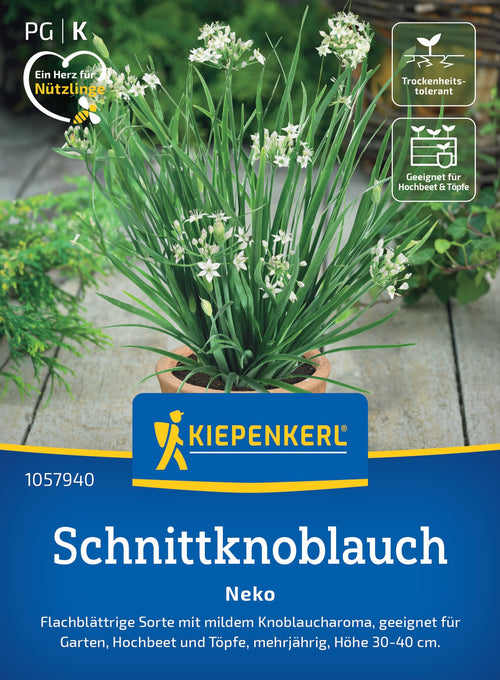 Kiepenkerl Schnittknoblauch Neko