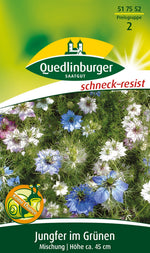 Quedlinburger Jungfer im Grünen Mischung