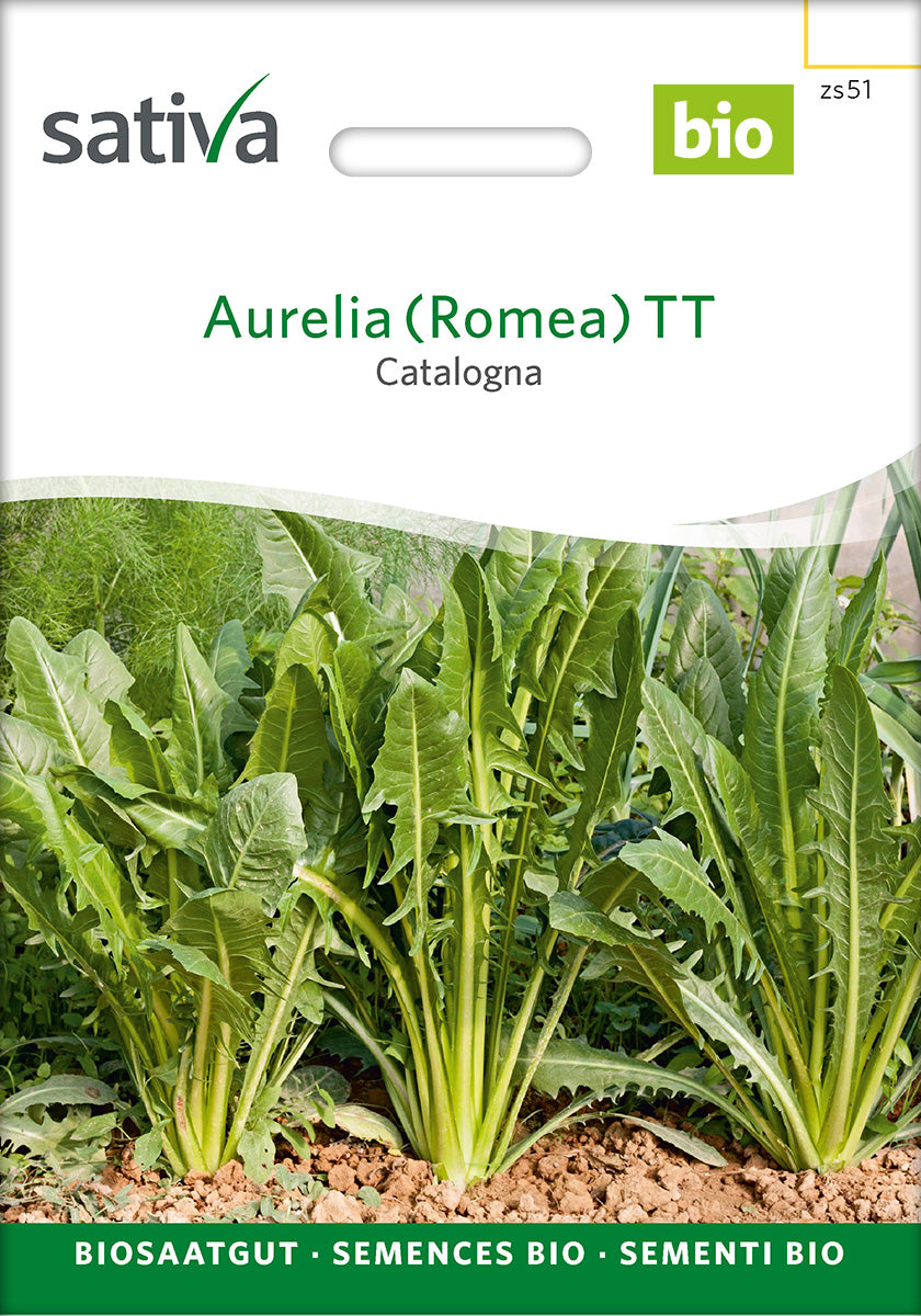 Sativa Catalogna Aurelia (Romea) TT