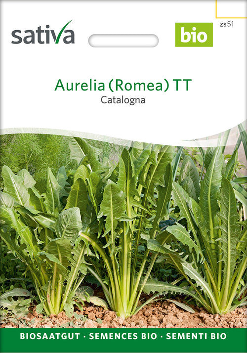 Sativa Catalogna Aurelia (Romea) TT