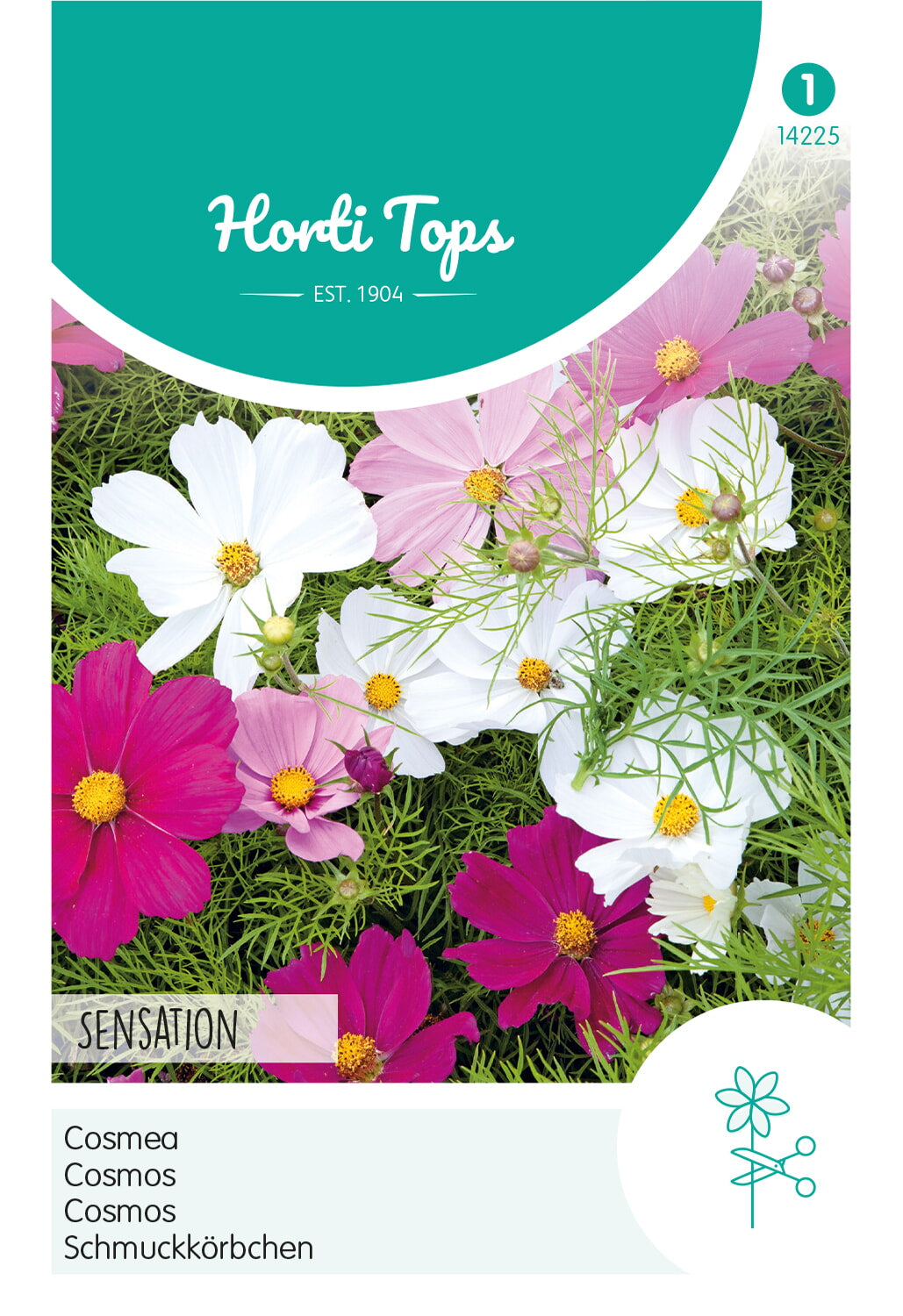 Horti Tops Schmuckkörbchen Sensation Mischung