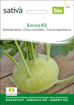 Sativa Kohlrabi weiss Enrico KS
