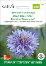Sativa Kornblume Blauer Junge