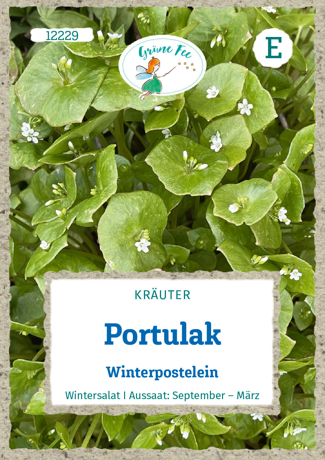 Grüne Fee Portulak Winterpostelein