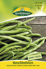 Quedlinburger Buschbohne Cropper Teepee