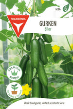 Frankonia Samen Gurke Silor