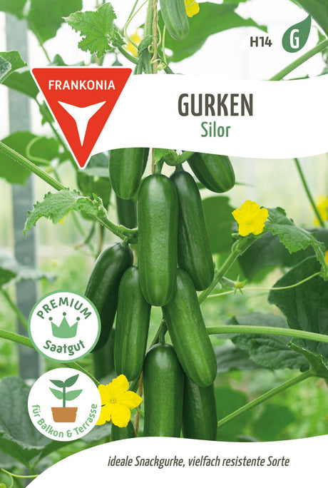 Frankonia Samen Gurke Silor