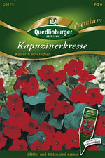 Quedlinburger Kapuzinerkresse Kaiserin von Indien