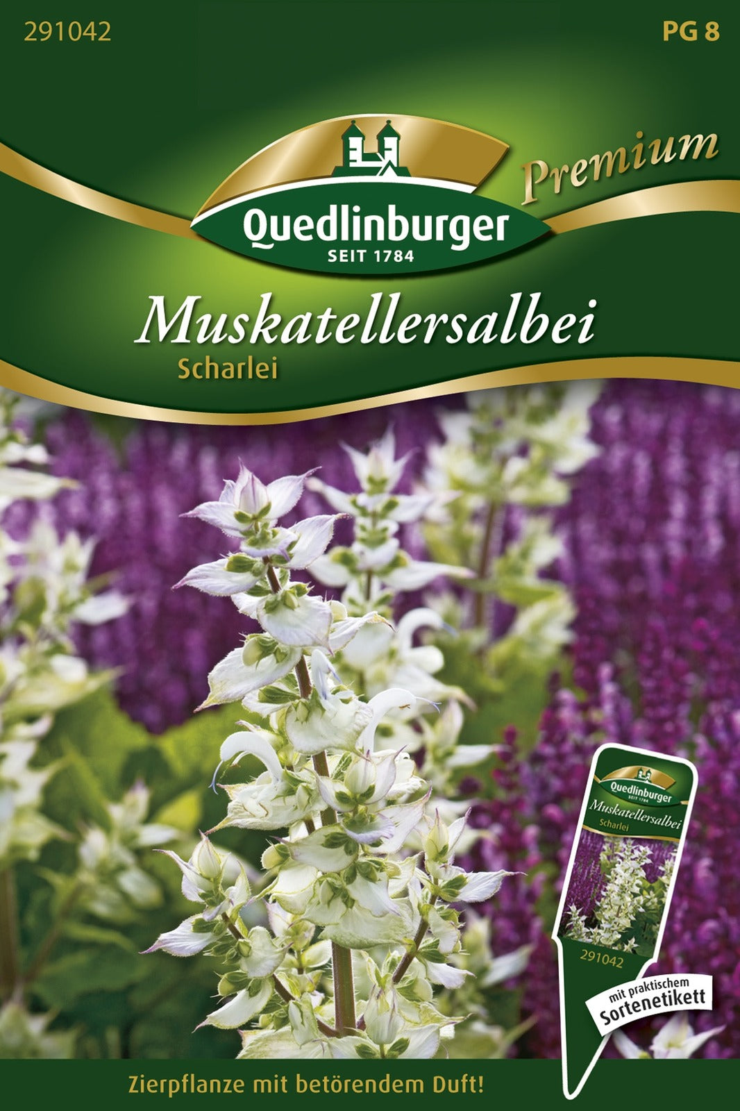 Quedlinburger Muskatellersalbei Scharlei
