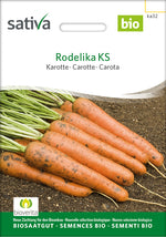 Sativa Karotte Rodelika KS
