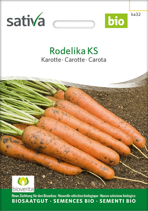 Sativa Karotte Rodelika KS