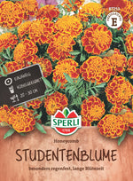 SPERLI Studentenblume Honeycomb