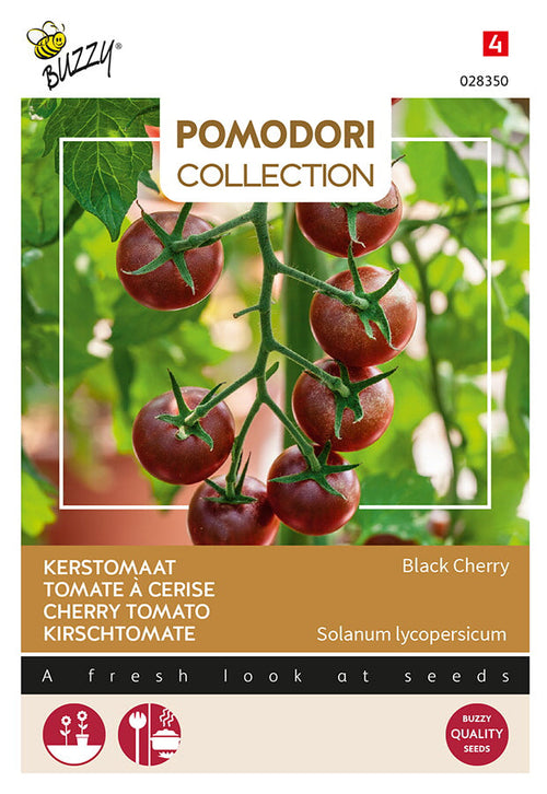Buzzy Seeds Kirschtomate Black Cherry