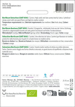 Sativa Karotte Berlikum Auslese (SAT 505)