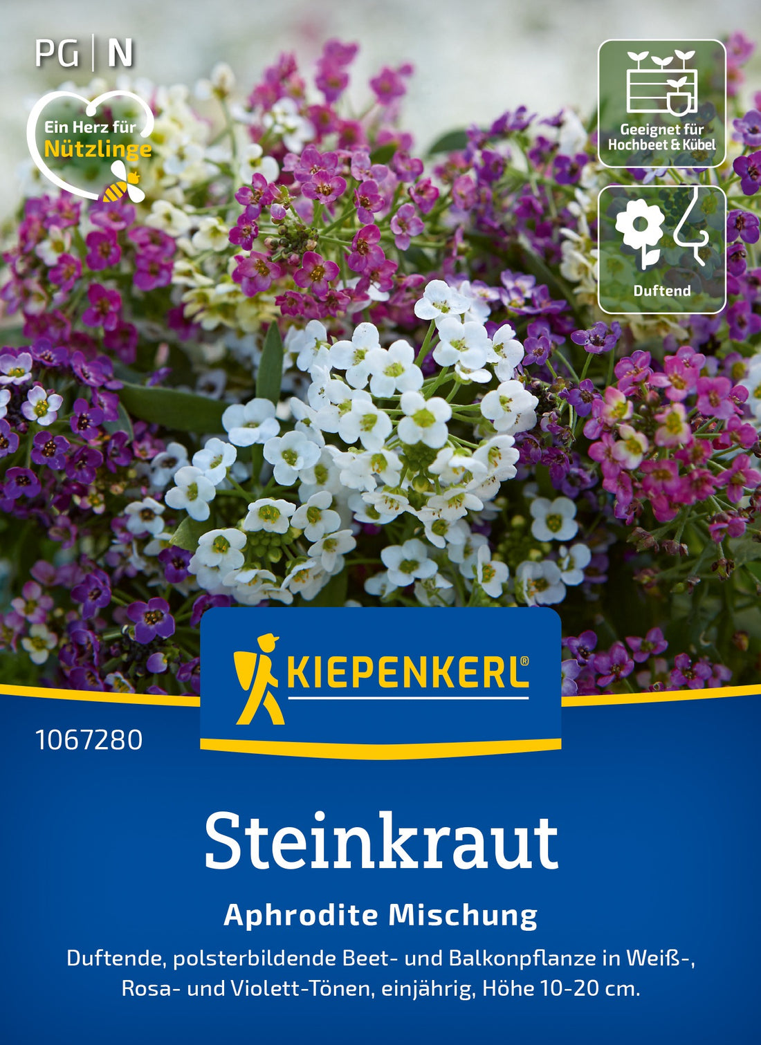 Kiepenkerl Steinkraut Aphrodite Mischung