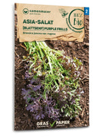 Asia-Salat Purple Frills Saatgut Tüte auf Erde, Bio Brassica juncea Sorte, nachhaltige Verpackung
