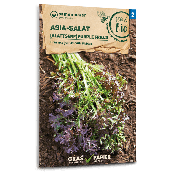 Samen Maier BIO Asia-Salat Purple Frills Blattsenf