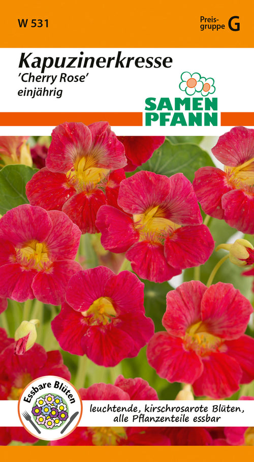 Samen Pfann Kapuzinerkresse Cherry Rose einjährig