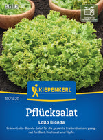 Kiepenkerl Pflück- & Schnittsalat Lollo Bionda