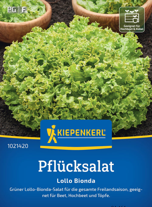 Kiepenkerl Pflück- & Schnittsalat Lollo Bionda