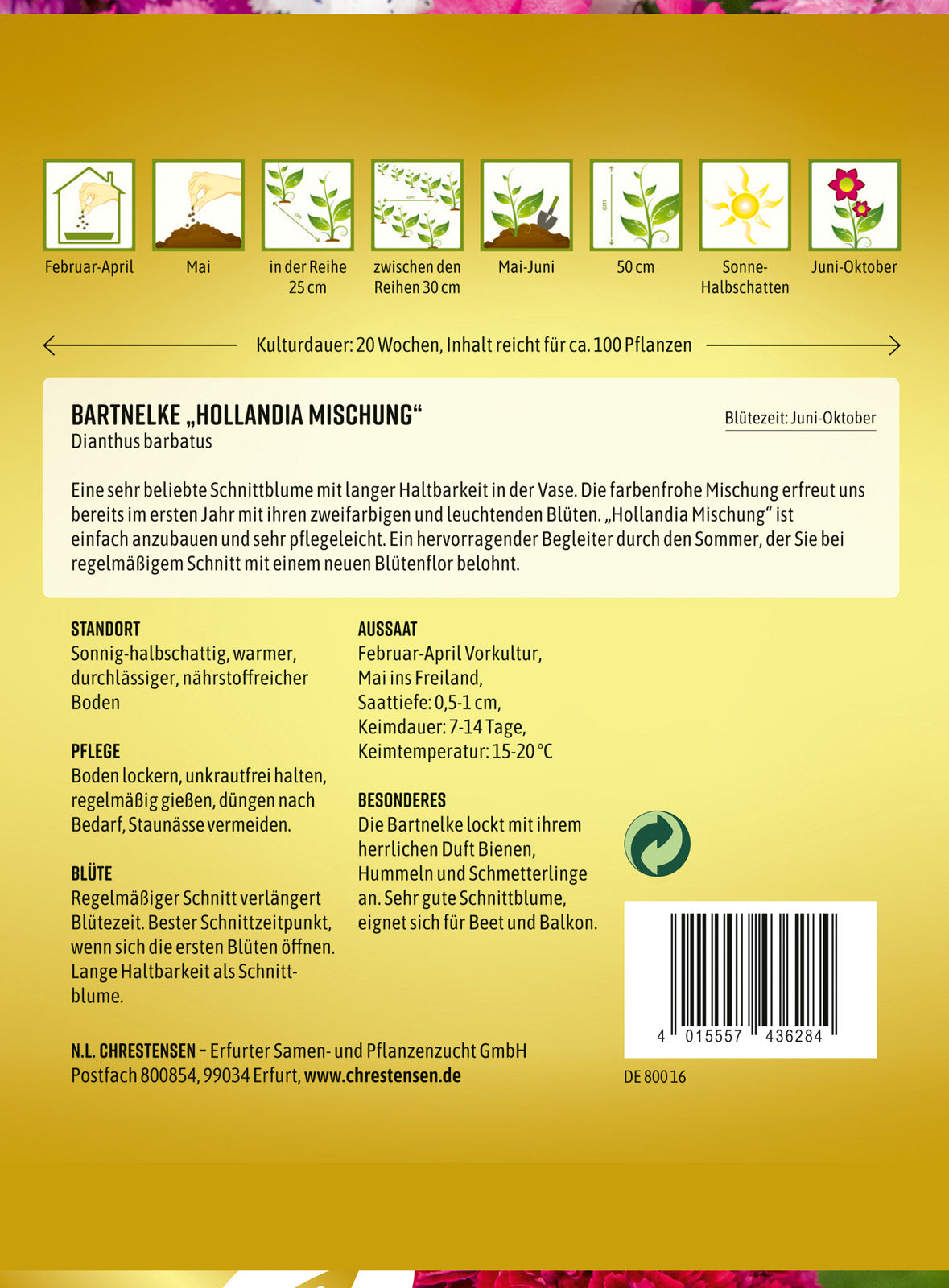 N.L. Chrestensen Bartnelke Hollandia Mischung