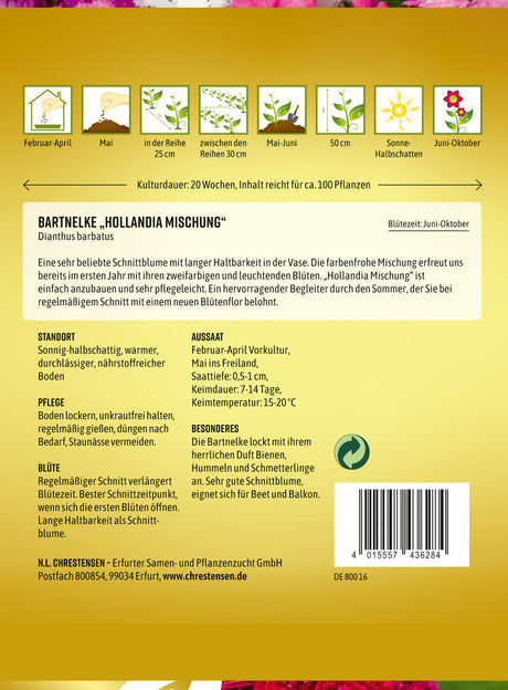 N.L. Chrestensen Bartnelke Hollandia Mischung