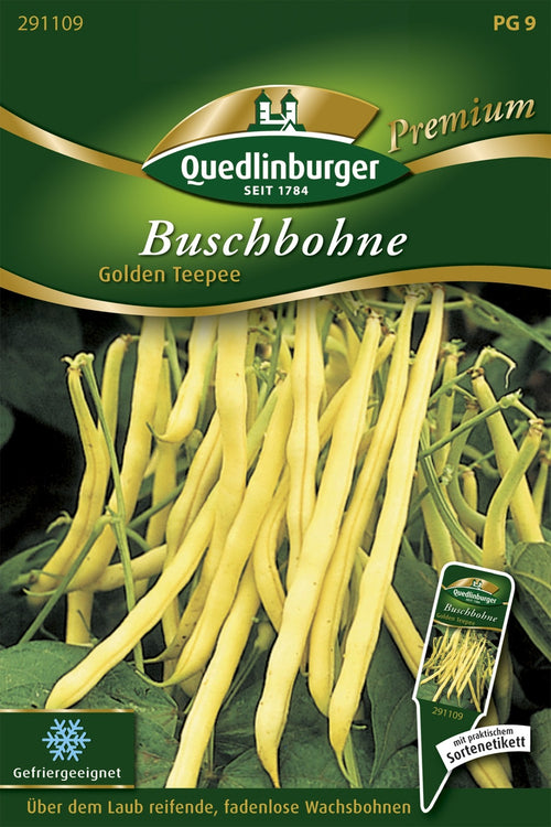 Quedlinburger Buschbohne Golden Teepee