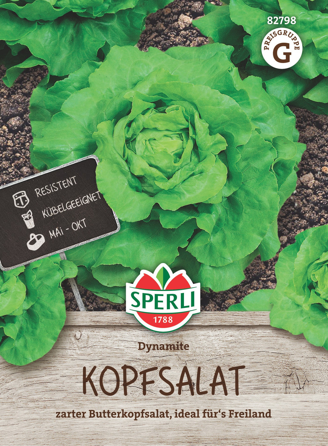 SPERLI Kopfsalat Dynamite