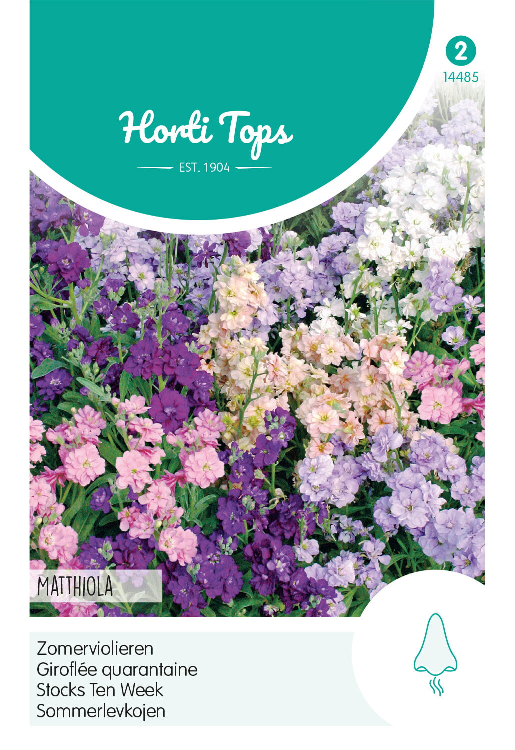 Horti Tops Levkoje Incana Gefüllte Sommer Mischung
