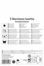 Mini-Tazetten Narzisse Canaliculatus
