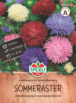 SPERLI Sommeraster Amerikanische Busch-Mischung