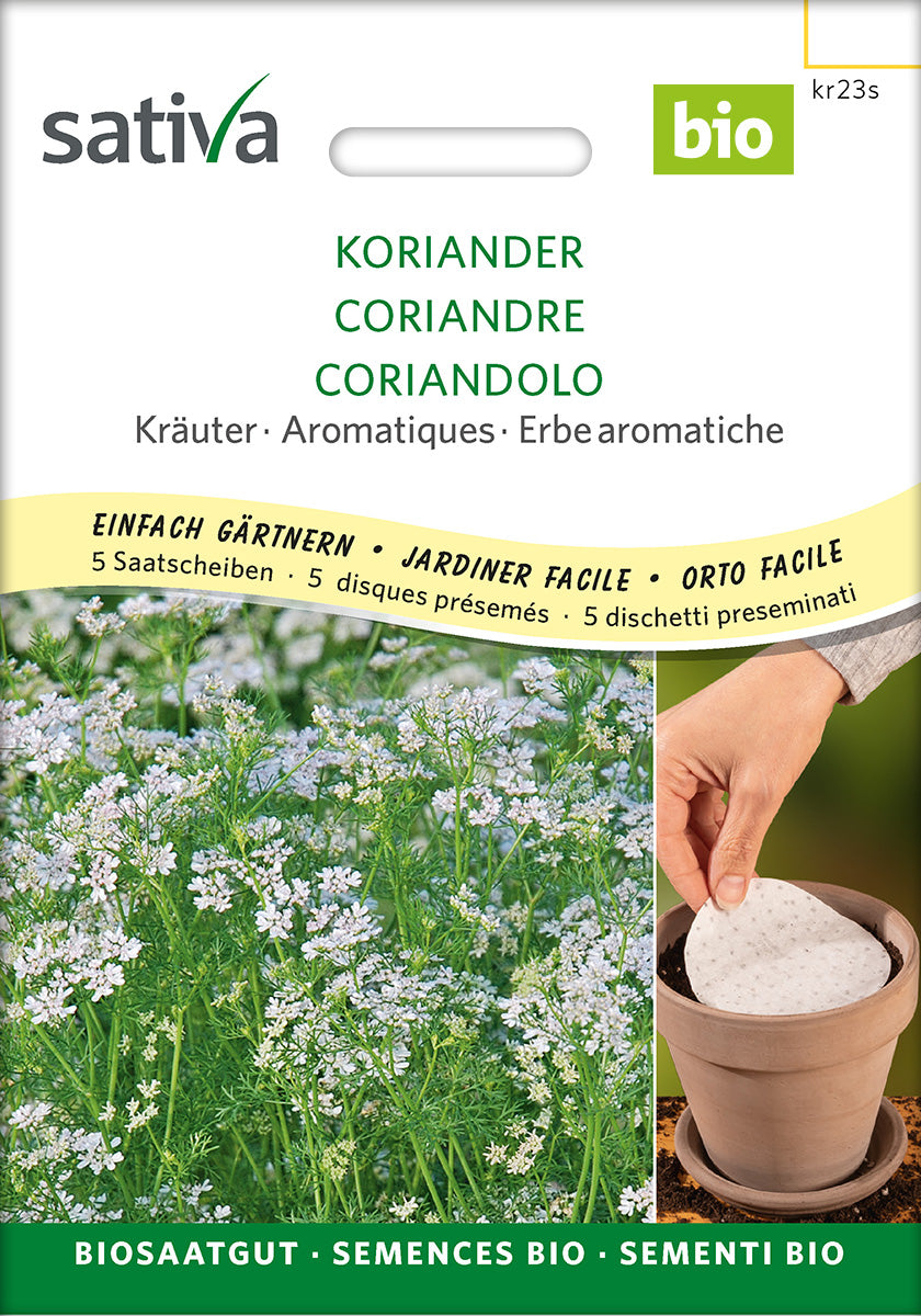 Sativa Koriander Saatscheibe
