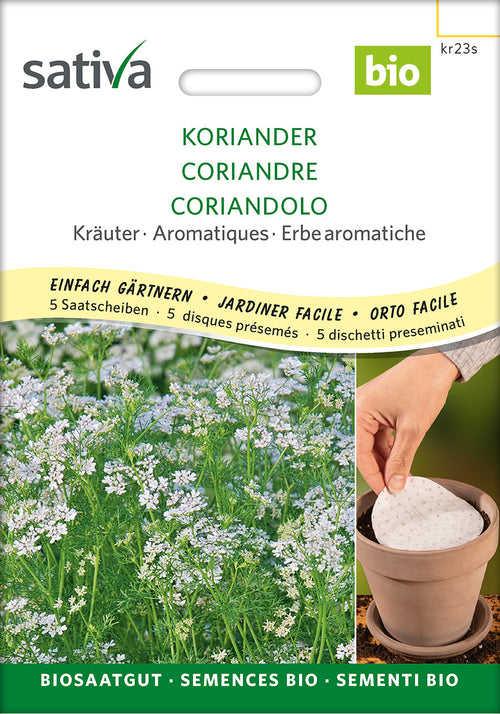 Sativa Koriander Saatscheibe