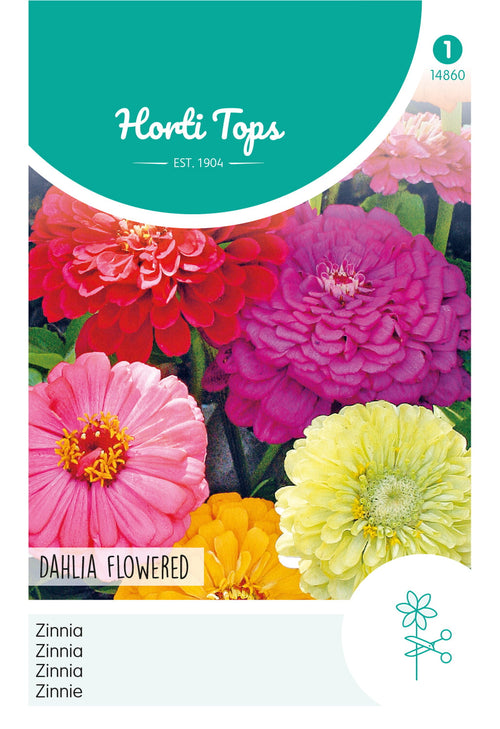 Horti Tops Zinnie Elegans Gefüllte Dahlienblütige Mischung