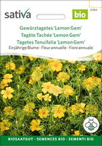 Sativa Gewürztagetes Lemon Gem