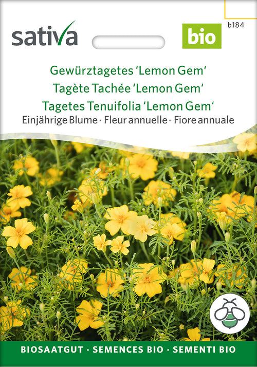 Sativa Gewürztagetes Lemon Gem