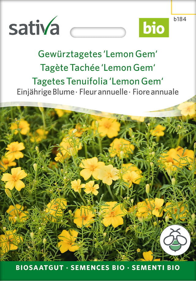 Sativa Gewürztagetes Lemon Gem