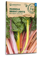 Samen Maier BIO Mangold Bright Lights