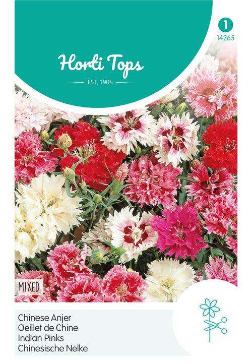 Horti Tops Chinesische Nelke Gefüllte Mischung
