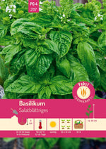Pabst Keimkraft Basilikum Salatblättriges